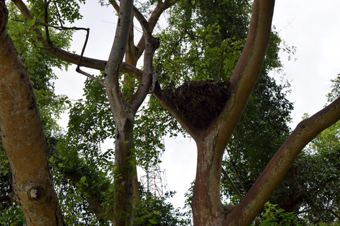 Duluti-See: Kanufahren, Naturwanderung und ExtraKajakfahren, Spaziergang in der Natur und Töpferkurs