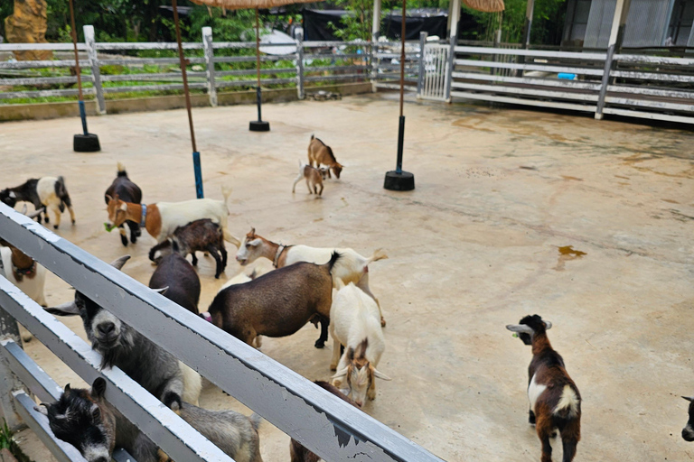 Chiangmai : Sticky waterfall & Land of angels & Wat ban den.