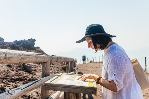 Depuis Naples  excursion d'une demi-journée tout-compris au VésuveDepuis les hôtels de Naples