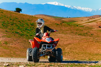 Marrakech, Quad Bike Tour to Palm Oasis and Jbilat Desert - Housity