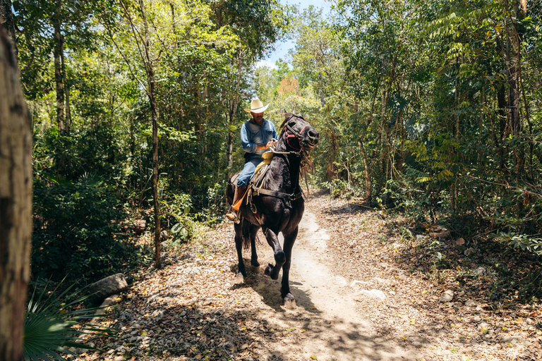 Passeio de motociclista