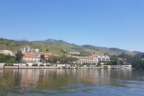 From Porto: Private Douro Valley Tour, Tasting, Boat, Lunch