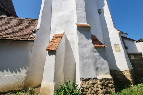 Transylvania 4-Day Tour: Castles, Bears & UNESCO