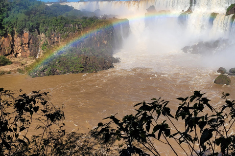 Tour privado de un día por las cataratas de Iguazú: Ambos lados, ¡el mismo día!