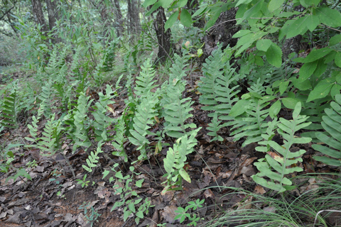 Senderismo en el parque Nacional Benito Juárez