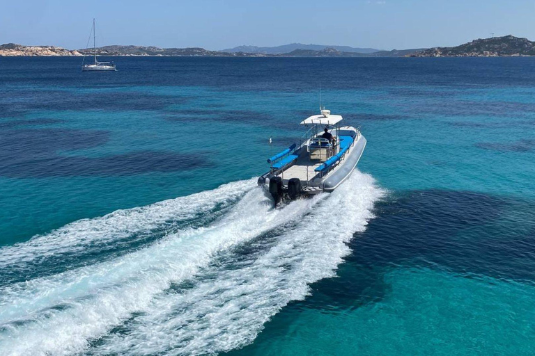Desde Santa Teresa Gallura: excursión en lancha a Córcega