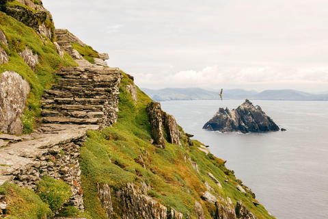 Skellig Michael: Great Skellig Panoramic Boat Tour