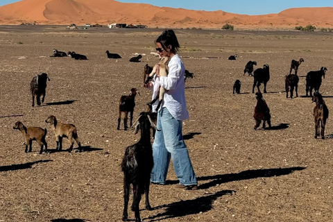 From Marrakech: 3-Day Merzouga Tour with Camel Trek & Luxury Camp Shared Standard Sahara Tour – Popular Choice