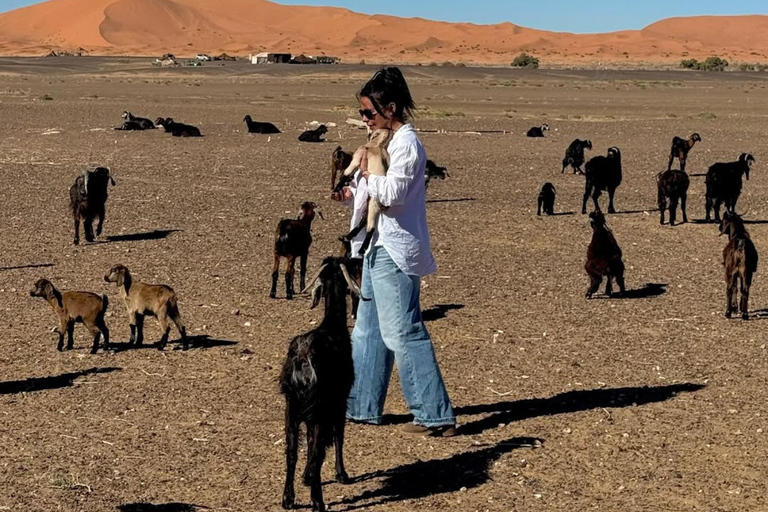 From Marrakech: 3-Day Merzouga Tour with Camel Trek & Luxury Camp Shared Standard Sahara Tour – Popular Choice