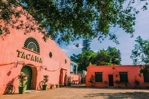 Ica: Tour del Pisco: Tacama, Arrabal, Bodega Lovera.