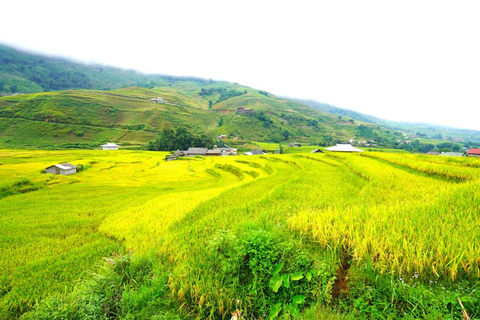 Sa Pa: Half-Day Cat Cat Village Hike to Meet H'mong People