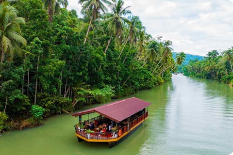 From Cebu: Bohol Day Tour with River Cruise and Lunch - Image 2