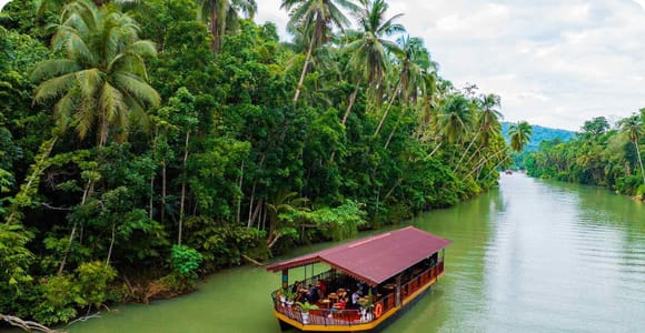 From Cebu: Bohol Day Tour with River Cruise and Lunch