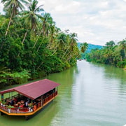 From Cebu: Bohol Day Tour with River Cruise and Lunch From Cebu: Bohol Day Tour with River Cruise and Lunch