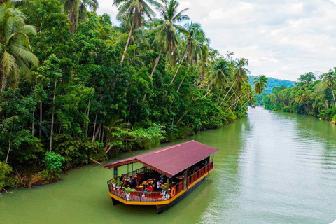 From Cebu: Bohol Day Tour with River Cruise and Lunch