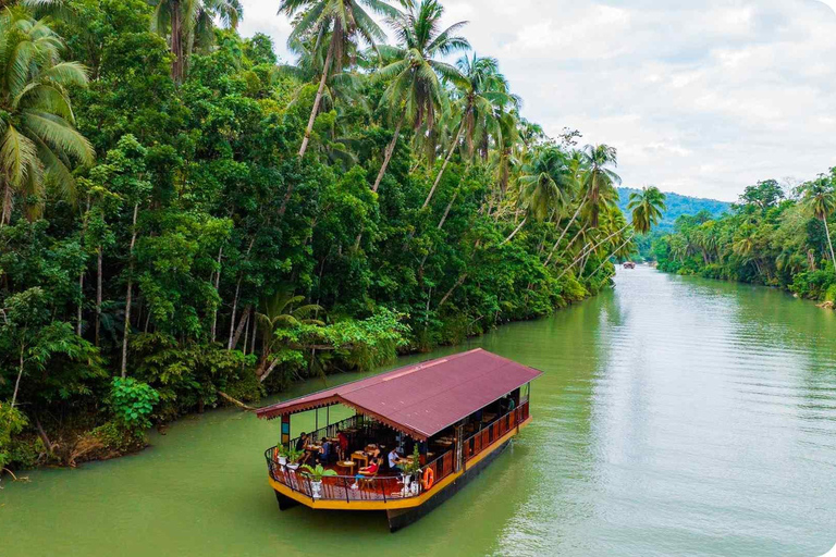 From Cebu: Bohol Day Tour with River Cruise and Lunch