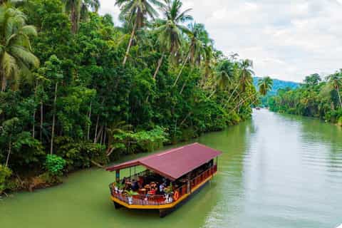 From Cebu: Bohol Day Tour with River Cruise and Lunch - Image 3