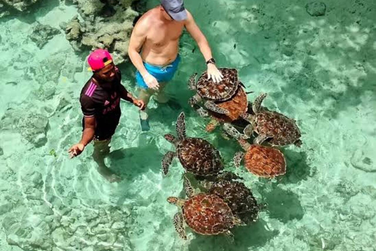 Zanzibar: Jozani Forest & Salam Cave Guided Tour Jozani Forest & Salaam Cave Tour – No Transfer