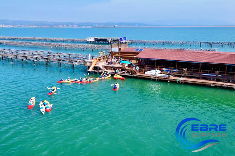 Kayak excursion through the Ebro Delta - 7 magical routes through the Delta Kayak tour of the Ebro Delta - 7 magical routes through the Delta