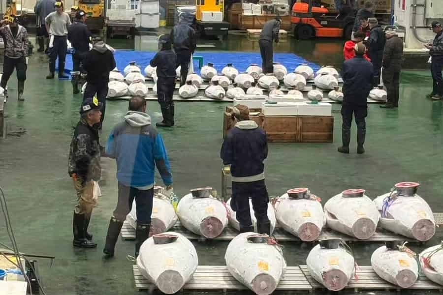 Tour zum Toyosu-Fischmarkt in Tokio mit Thunfisch-Auktion & Frühstück. Foto: GetYourGuide Tour zum Toyosu-Fischmarkt in Tokio mit Thunfisch-Auktion & Frühstück. Foto: GetYourGuide