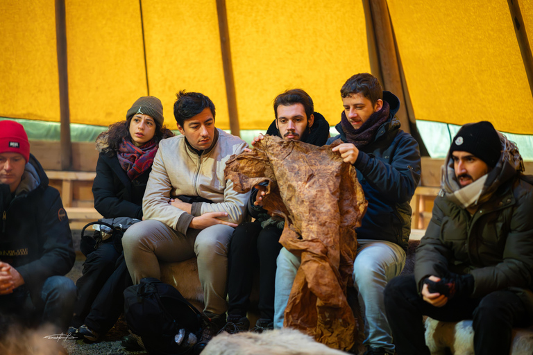 Tromsø: Royal Reindeer at Sami Camp | Feeding & Stories English Guide