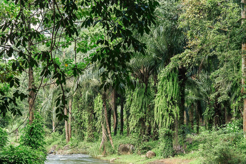 From Khao Lak: ATV & Rafting with Waterfall and Temple Visit From Khao Lak: Rafting 9 km. + ATV + Waterfall + Temple
