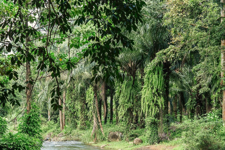 From Khao Lak: ATV & Rafting with Waterfall and Temple Visit From Khao Lak: Rafting 9 km. + ATV + Waterfall + Temple