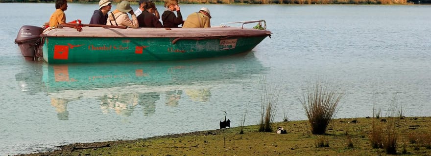 Safari en bateau à la rencontre des crocodiles de Chambal à Palighat