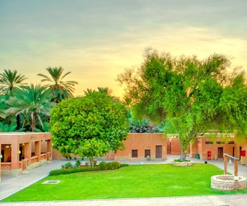 Al Ain stadstour met lunch