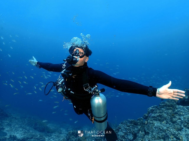Pattaya: Fun Dive 2 Ocean Dives (For Certified Diver)