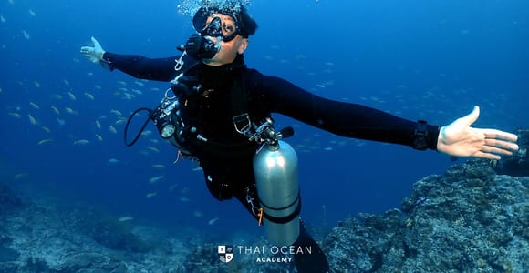 Pattaya: Fun Dive 2 Ocean Dives (For Certified Diver)