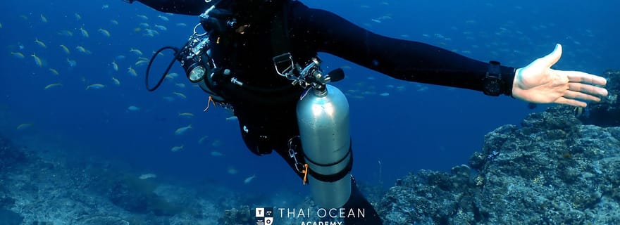 Pattaya : 2 plongées et déjeuner (plongeur certifié)