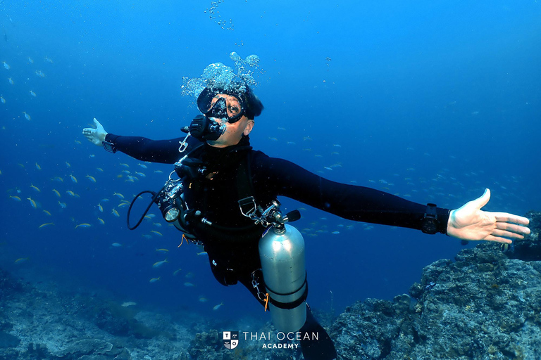 Pattaya: Fun Dive 2 Ocean Dives and Lunch (Certified Diver)