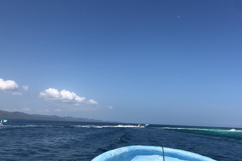 Puerto Plata: Full-day trip to Cayo Arena and Punta Rucia