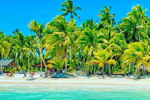 Punta Cana: Saona Island Exclusive Private Beach, Open Bar & Premium Lunch
