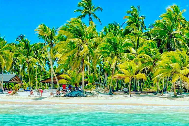 Punta Cana: Saona Island Exclusive Private Beach, Open Bar & Premium Lunch
