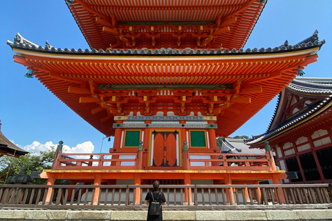 Entdecke Nara, Kiyozumi-dera &amp; Fushimi Inari von Osaka aus