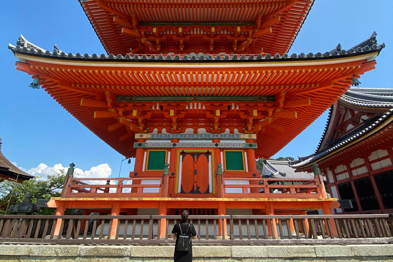 Entdecke Nara, Kiyozumi-dera &amp; Fushimi Inari von Osaka aus