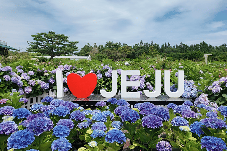 Circuit du festival Hydragea de Jeju : Itinéraire EST