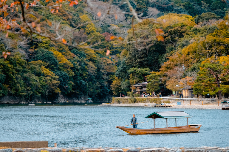 Kyoto/Osaka/Nara: Kyoto Private Guided Day Trip on Vehical