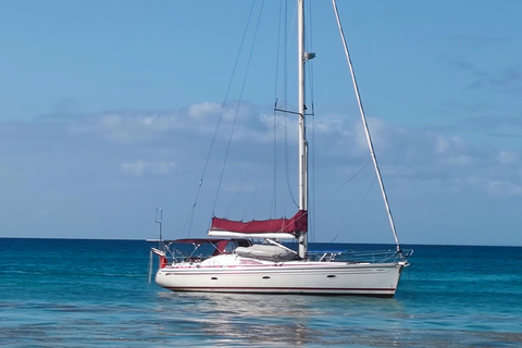 Saona Island: Private Yacht Tour with Lunch & Pickup