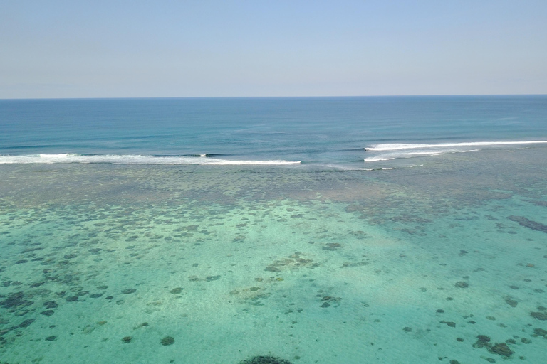 Excursion à l'Ile aux Cerfs et autres joyaux du Sud.