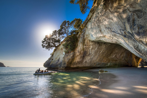 Vanuit Auckland: Cathedral Cove &amp; heet water strandtour