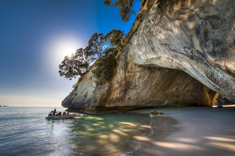 Från Auckland: Cathedral Cove &amp; Hot Water Beach Tour