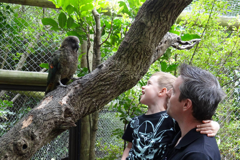 Wellington: Kapiti Coast Tour with Lunch and Entry Fees