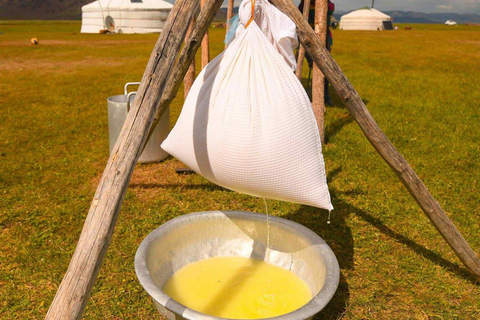 Nomadic Cow Herding Experience tour - 5 Days