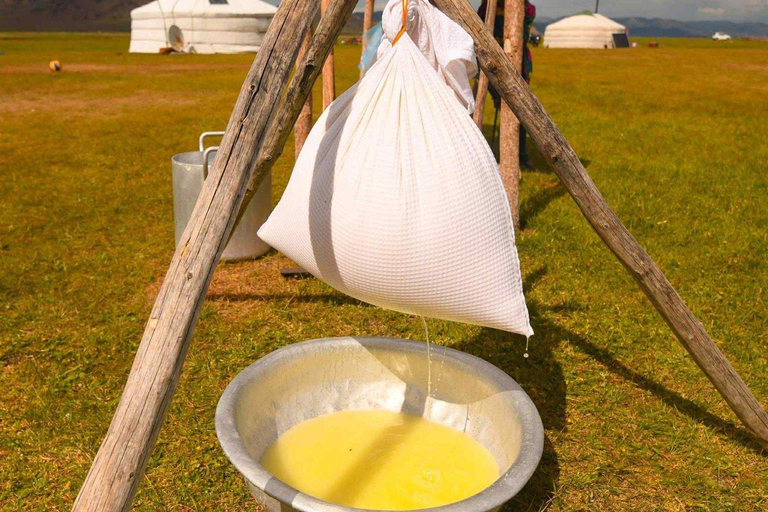 Nomadic Cow Herding Experience tour - 5 Days