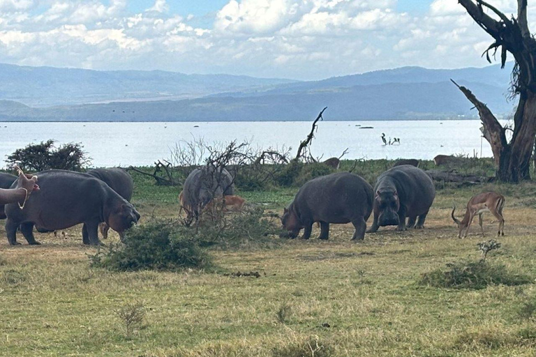 From Nairobi: Lake Naivasha, & Crescent Island Tour