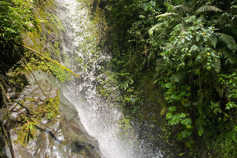 From Cali: Rio Bravo Canyon Natural Reserve HikeCalima Darien: Rio Bravo Canyon Natural Reserve Hike