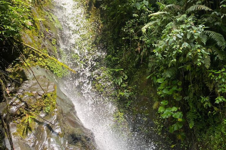 From Cali: Rio Bravo Canyon Natural Reserve HikeCalima Darien: Rio Bravo Canyon Natural Reserve Hike